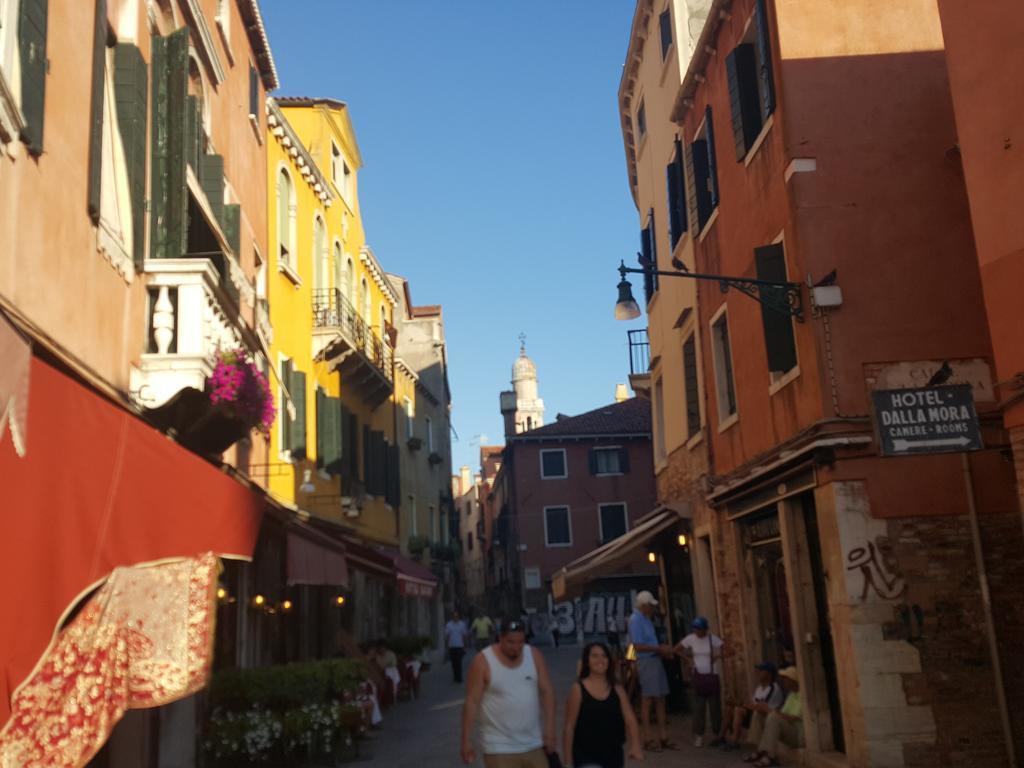 Dorso Duro
