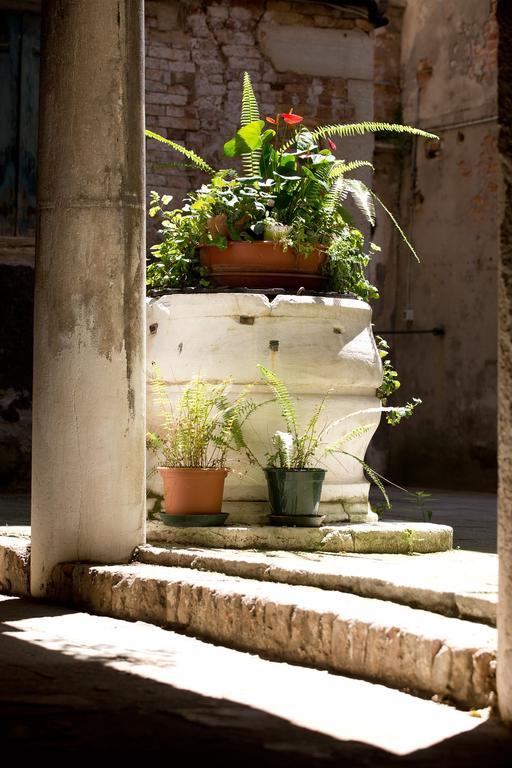 Apartment Moretta Venice
