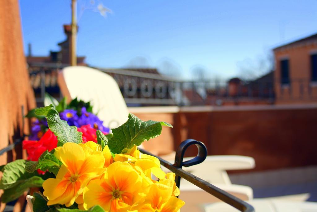 Terrazza Biennale Venice