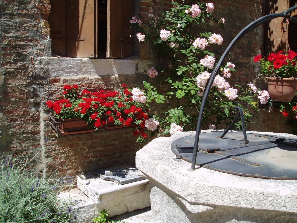 Hotel Domus Ciliota