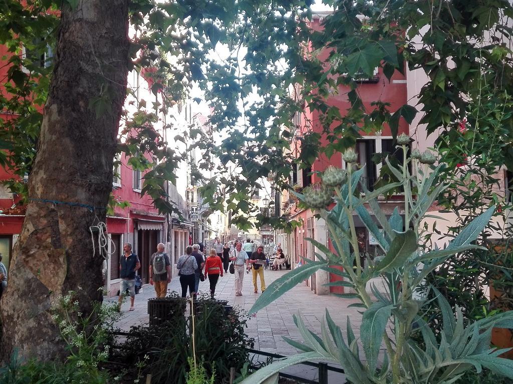 Casa Carlotta *