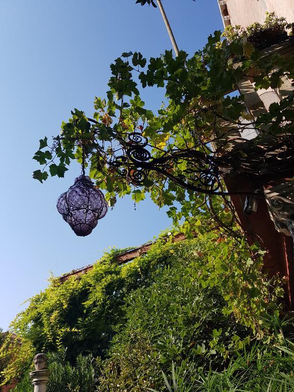 Garden Ca' Rezzonico Venice