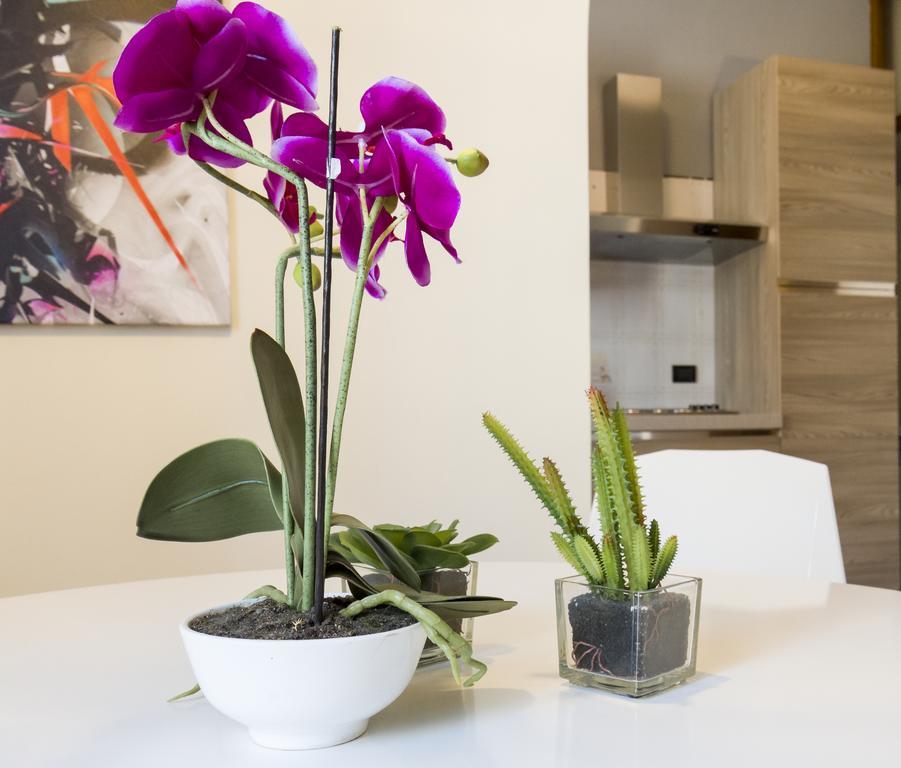 Apartment Garden View