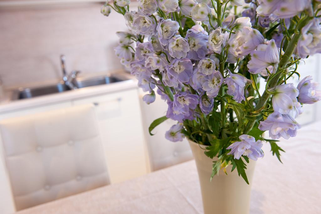Bed & Breakfast Ca' Cappellis Venice