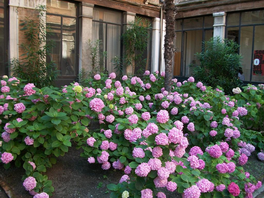 Bed & - Casa Per Ferie La Pieta Bed & Breakfast Venice