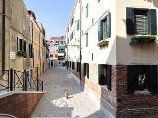 Biennale 252 * Venice