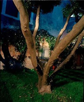 Palazzo Soderini 2* Venice