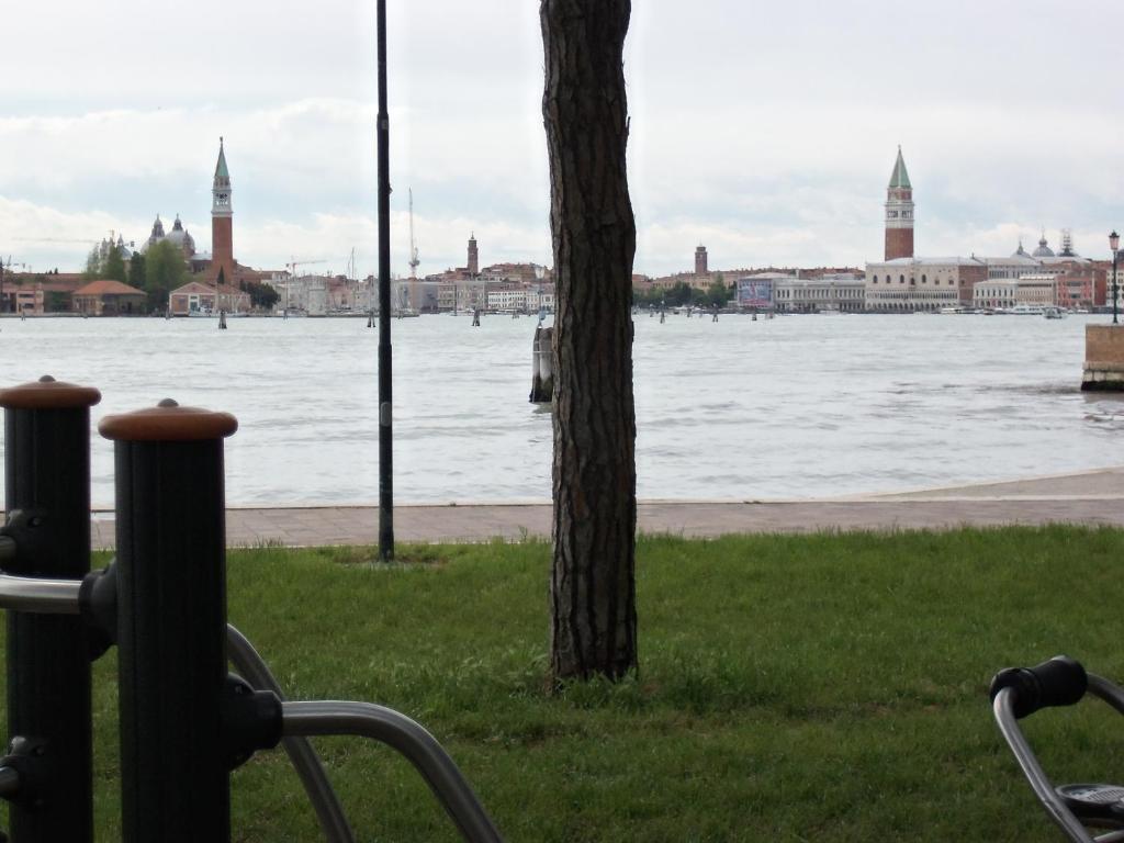 Biennale Veneza