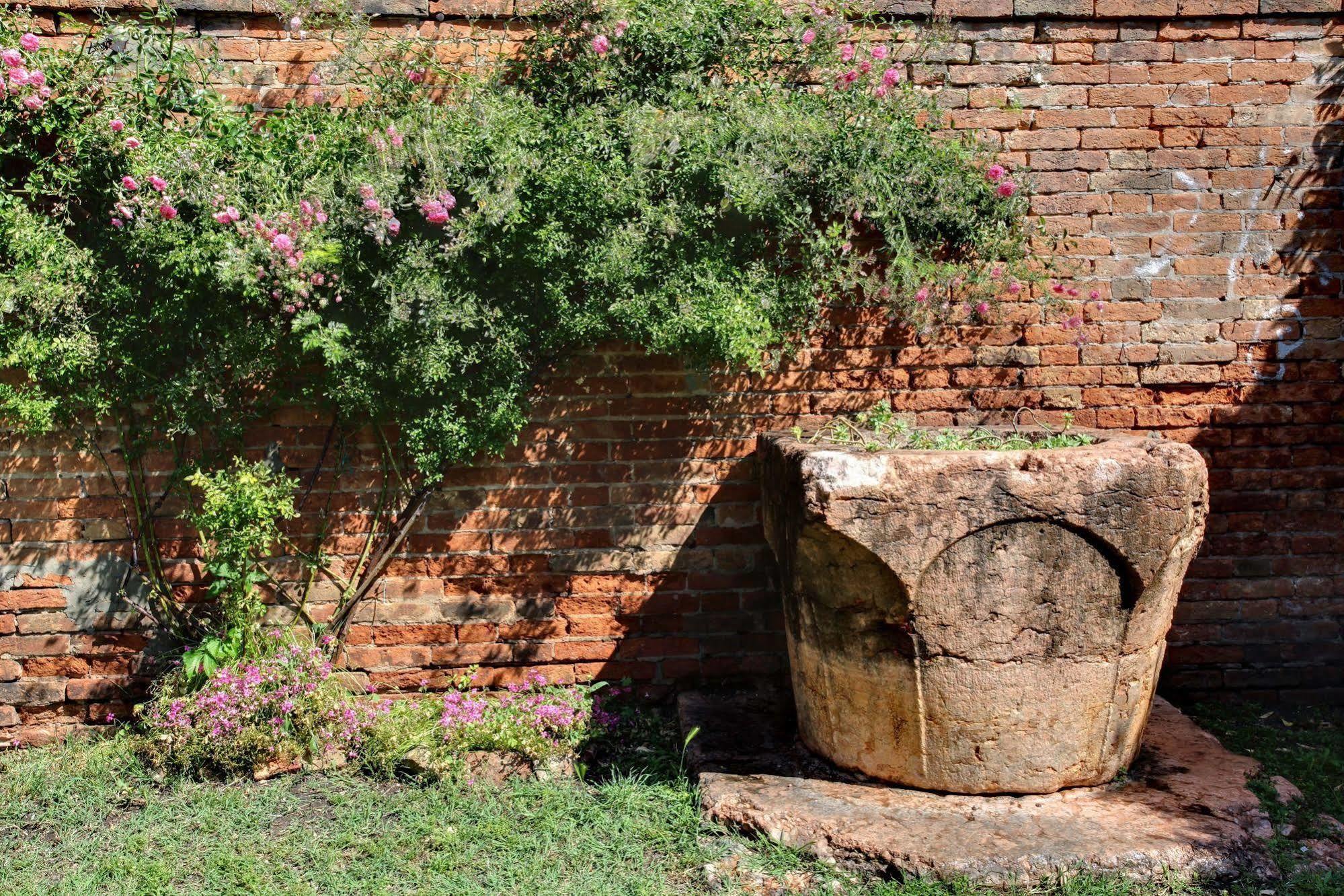 Apartment Garden Houses Venice