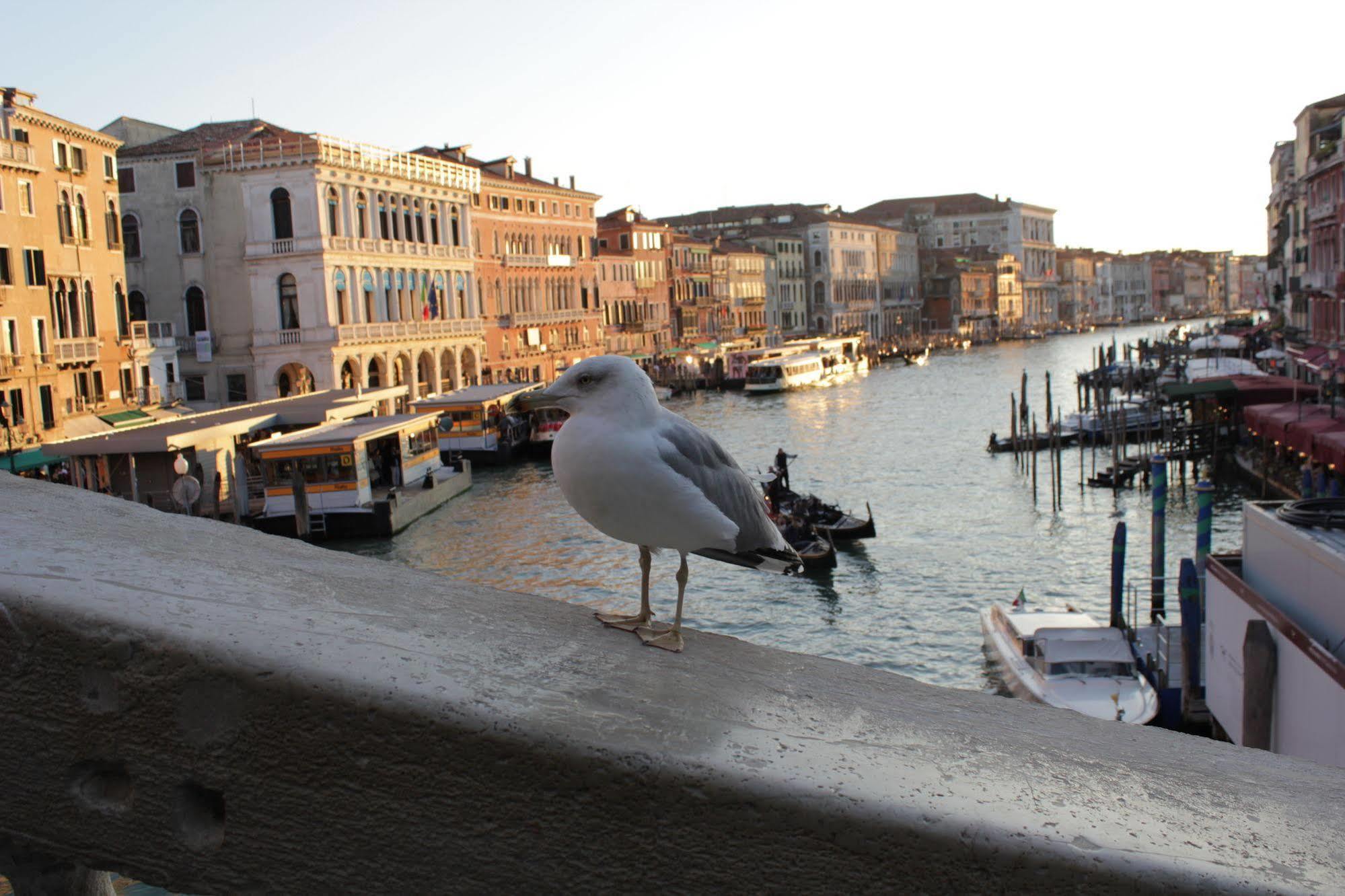 Apartment Rialto Loft Venice