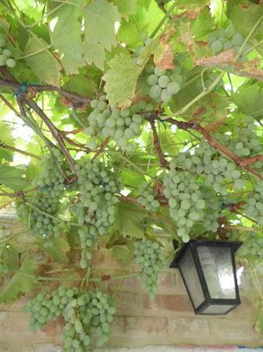 Santa Margherita Guest house Venice