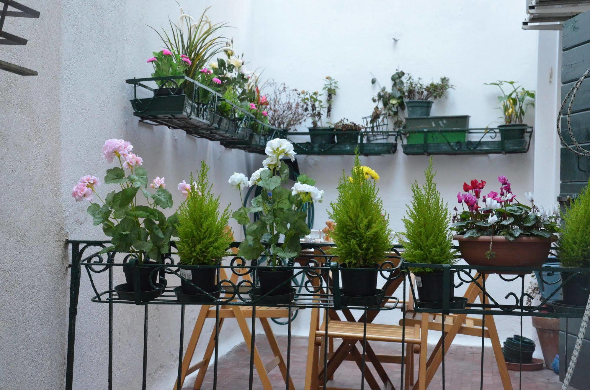 Life Apartment