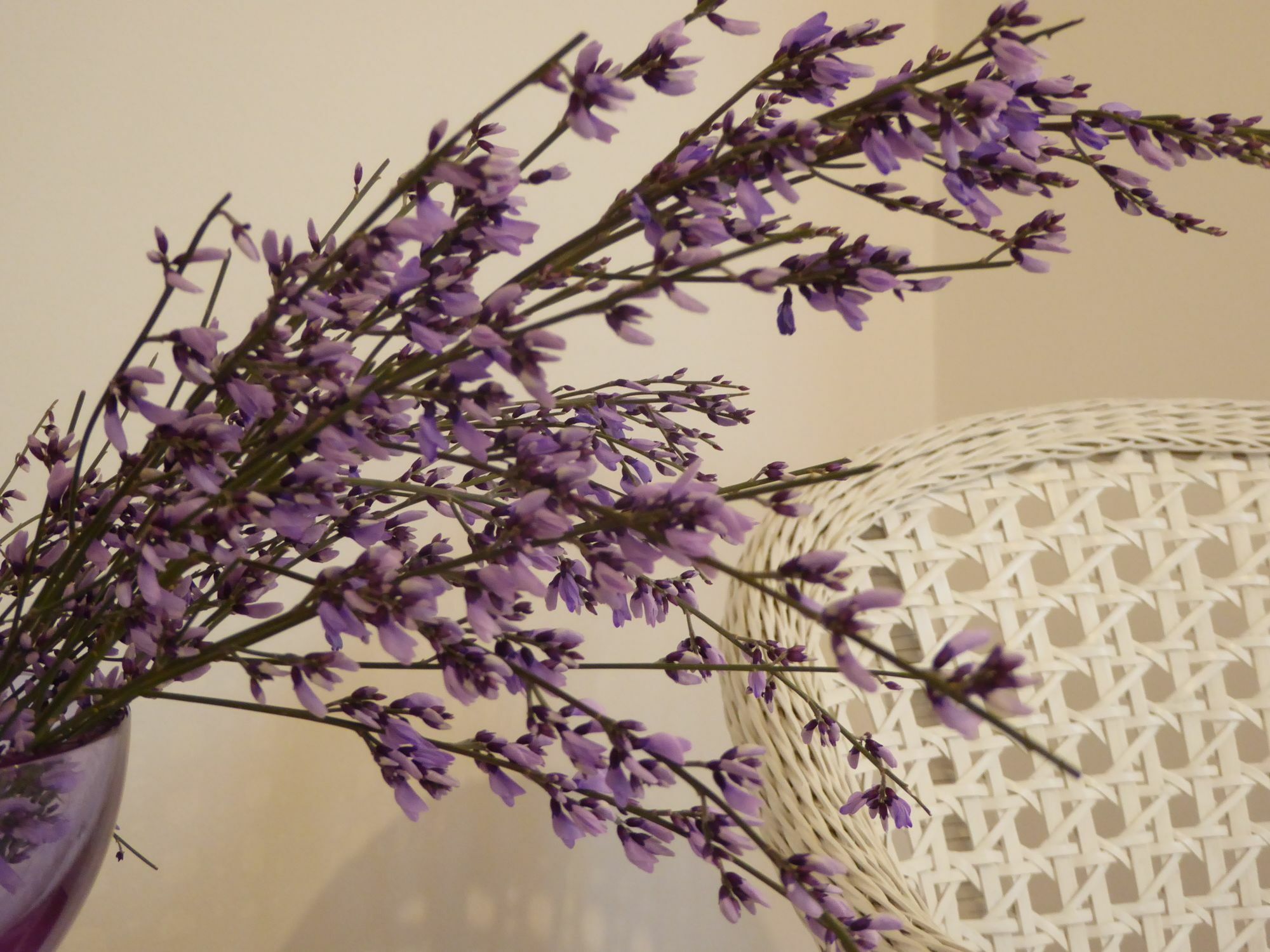 Bed & Breakfast Vista Sul Canal Grande