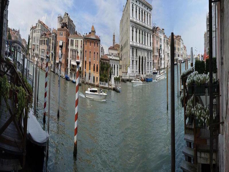 Romy * Venice