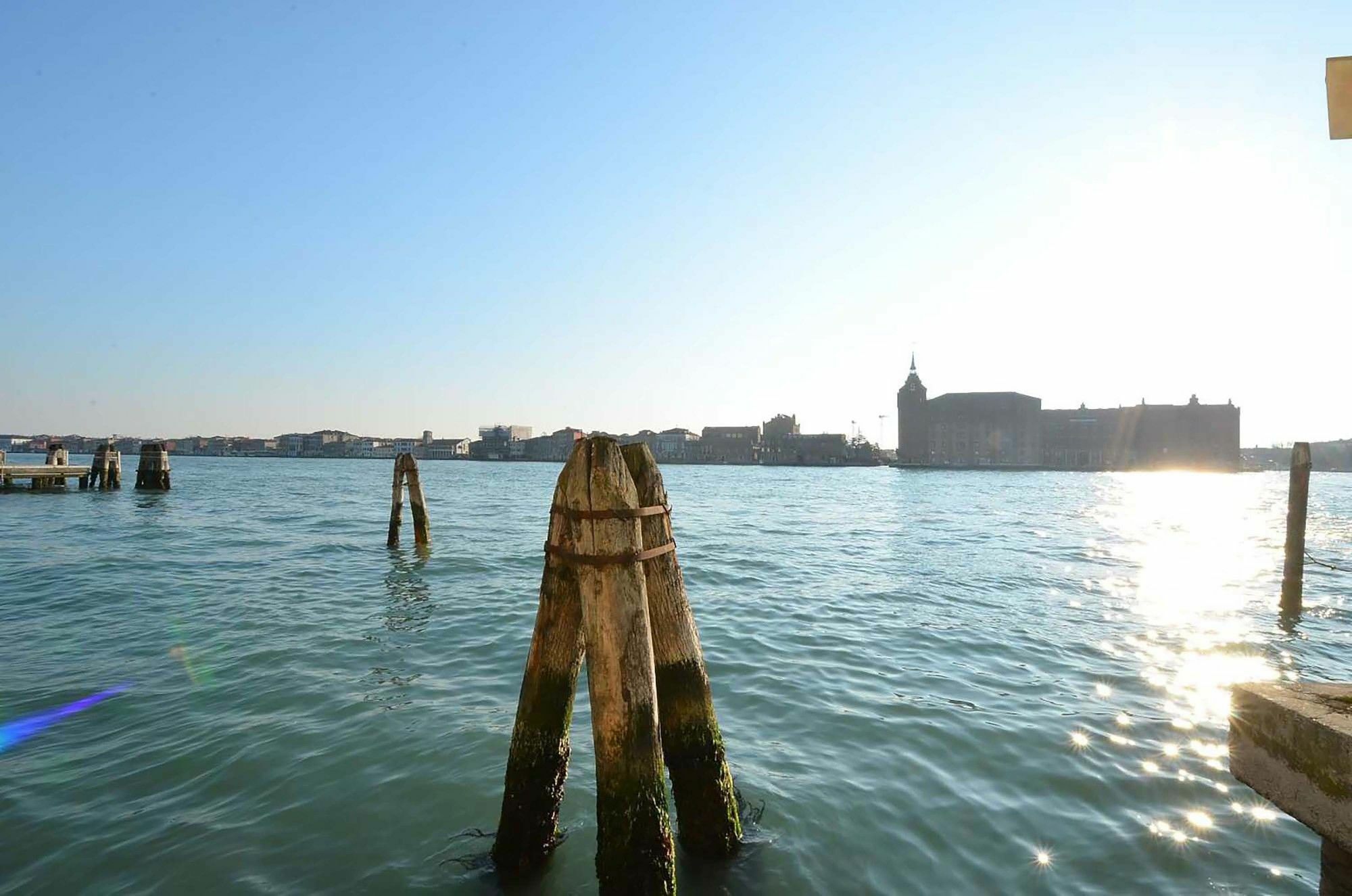 Guggenheim Museum, Cool, 4pax Venezia