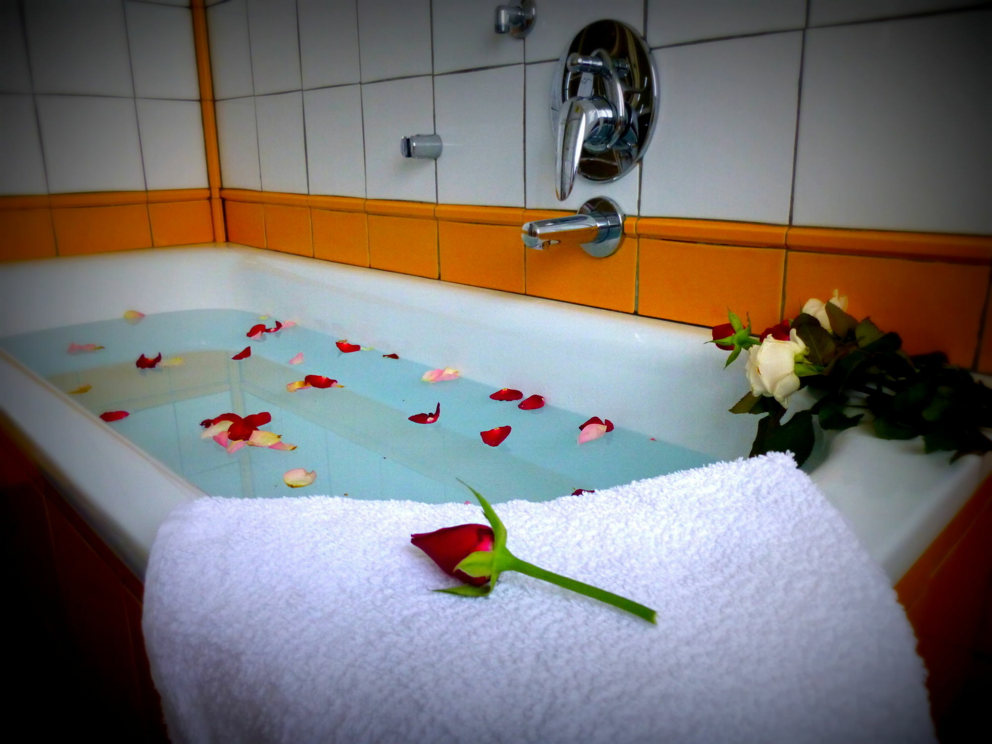 Hazel 3* Veneza
