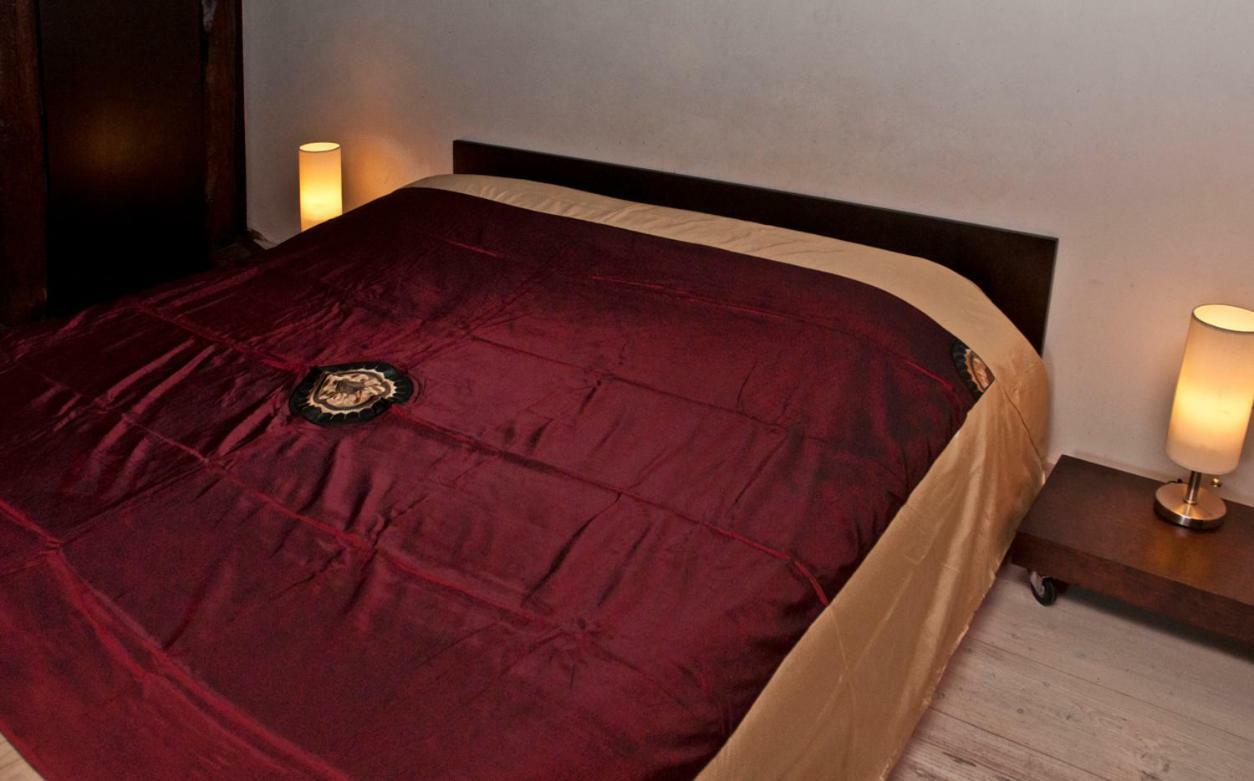 Altana San Marco Apartment Venice