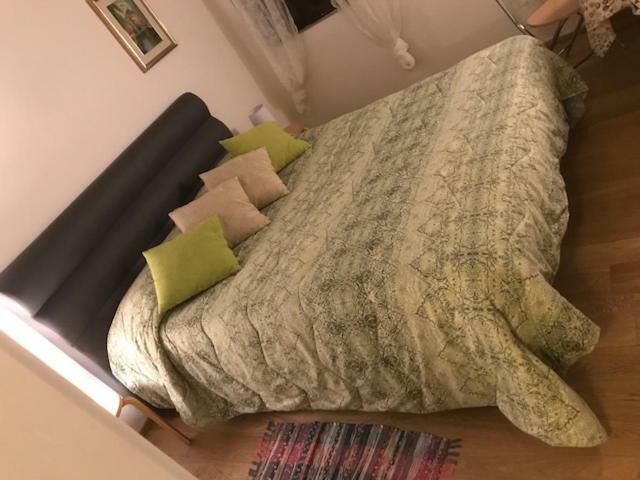 Carina House
