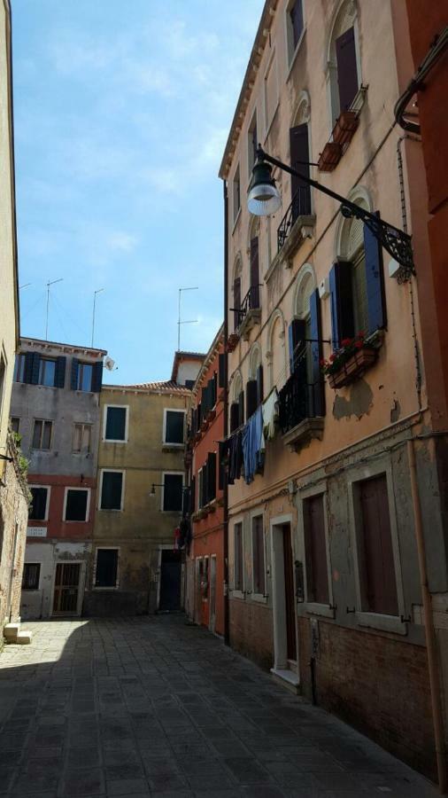 In A Lovely Garden Biennale Flat * Venice