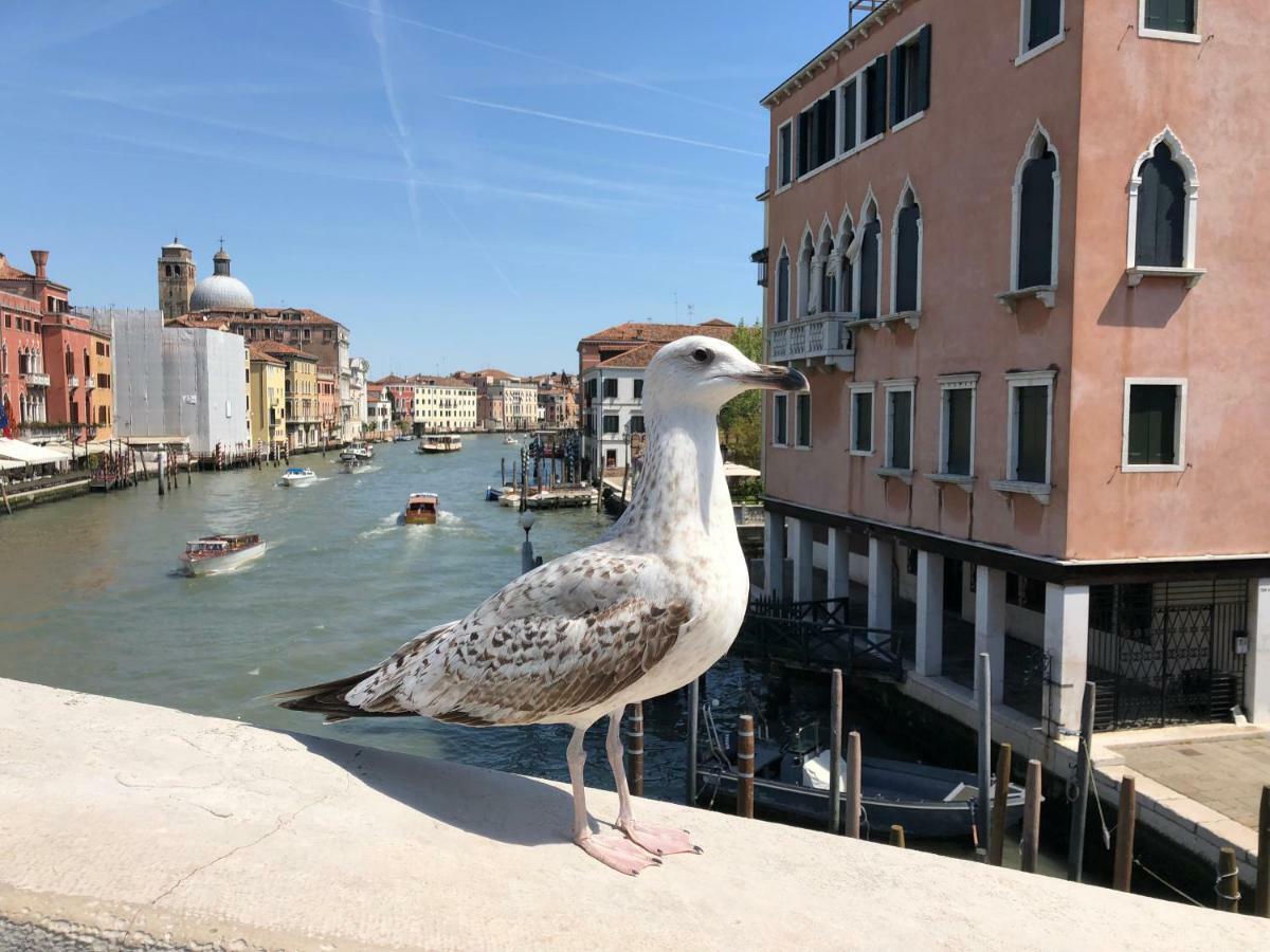 Regina Studium Apartment Venice