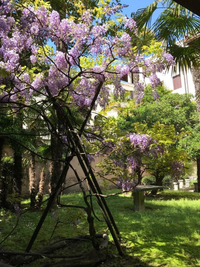 In A Lovely Garden Biennale Flat *
