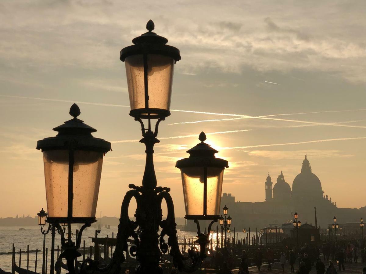 Modern Sunny In Residental Area Venice