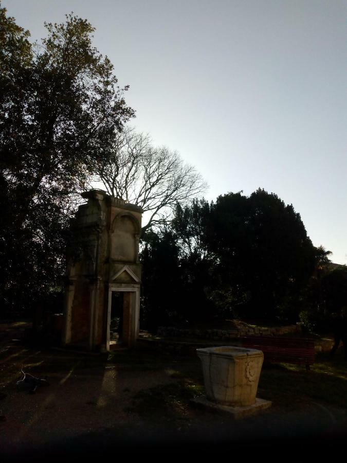 With A Secret And Romantic Park Homestay