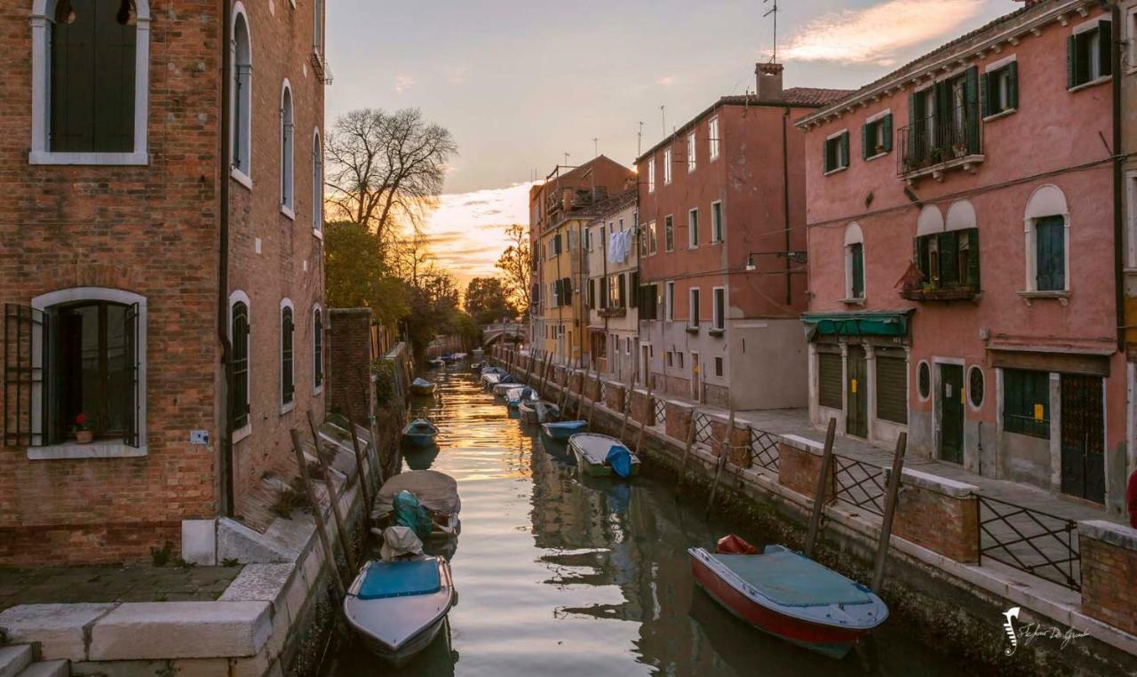 Monolocale La Corte Biennale *