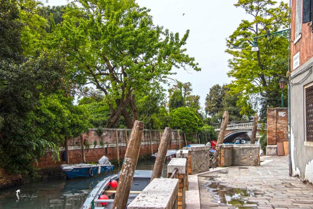 Apartment Monolocale La Corte Biennale Venice