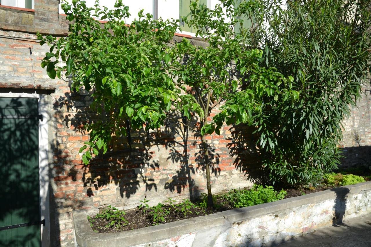 Ca' Ermina & Garden Apartment Venice