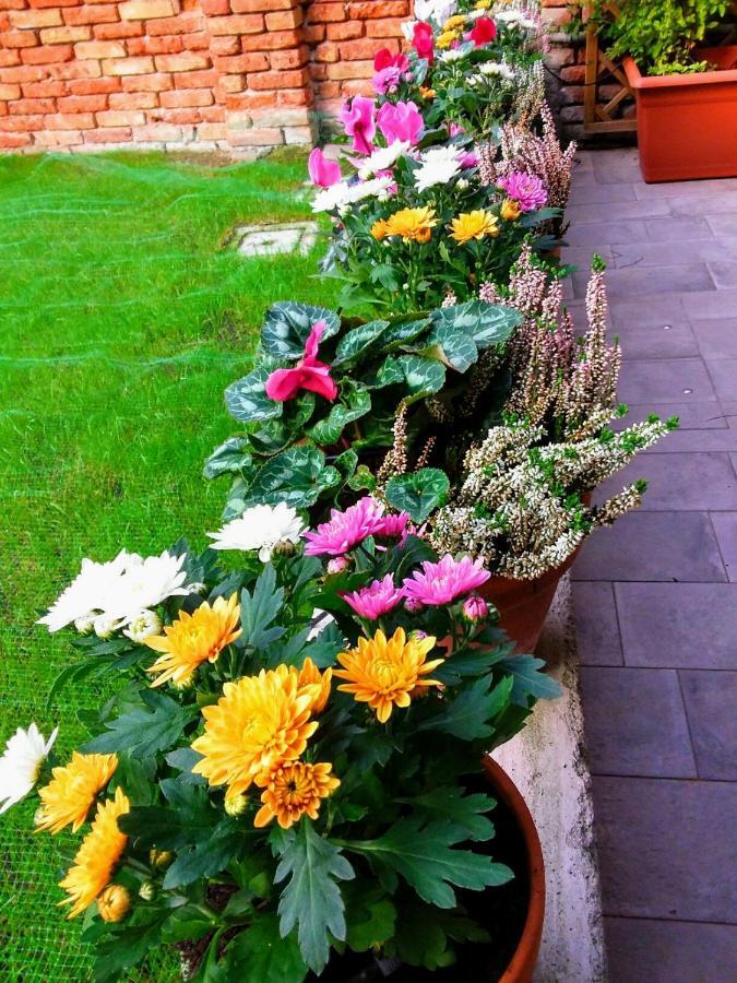 Hortus Bed & Breakfast Venice