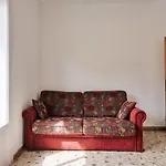 Cozy Best Apartment In City