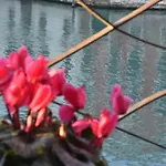 B&B Vista Sul Canal Grande