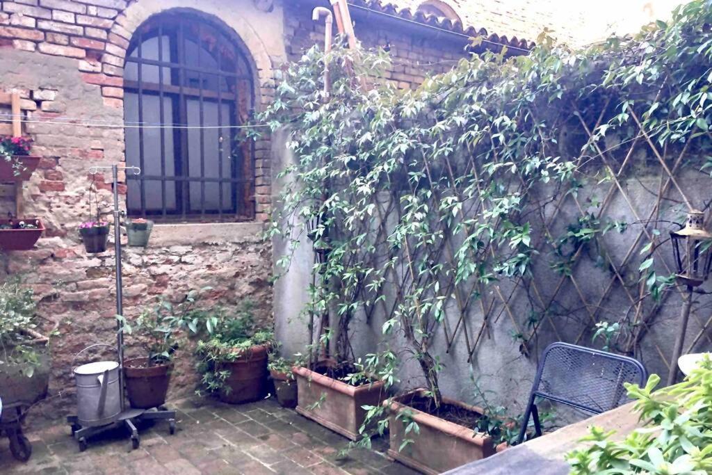 Apartment Il Buco Della Suora *