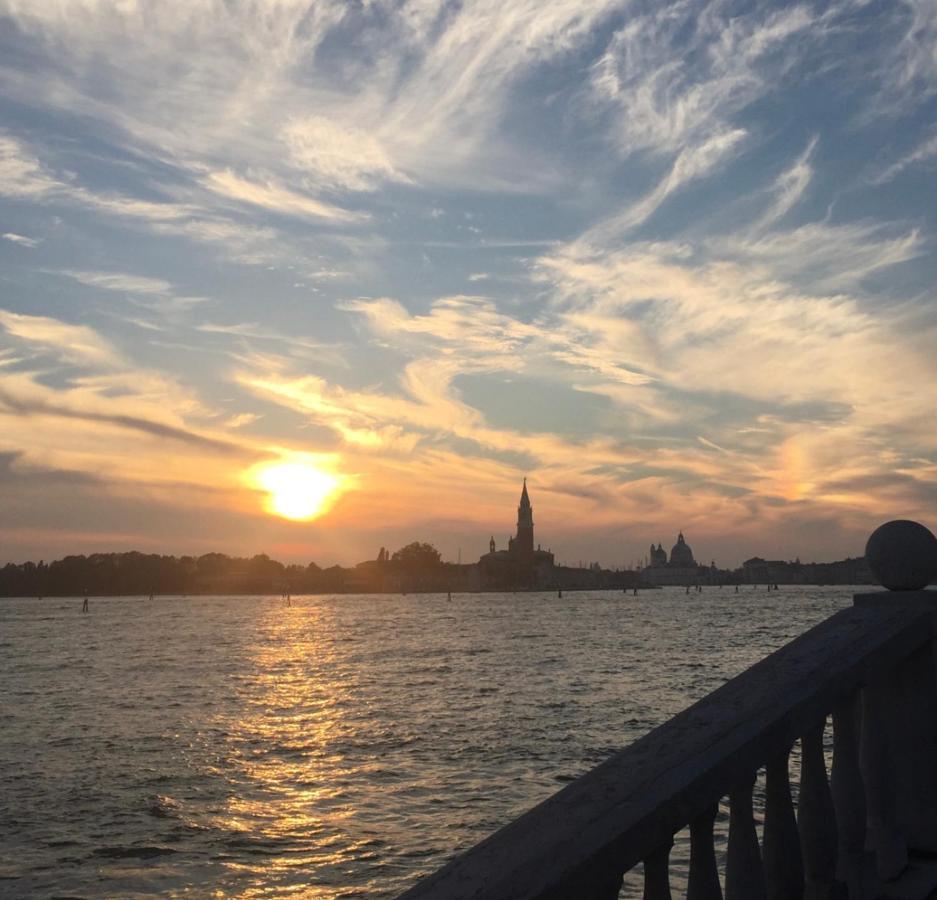 Damiana Venice