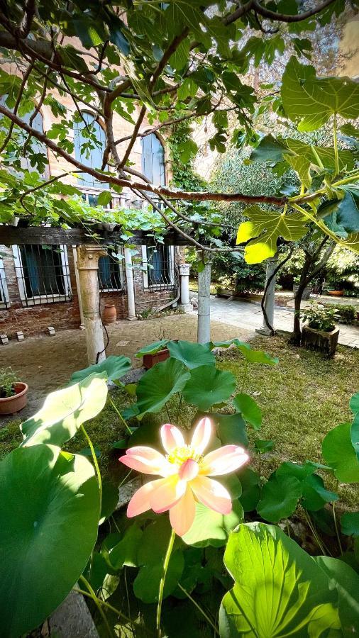 Michelangelo Bed & Breakfast Venice