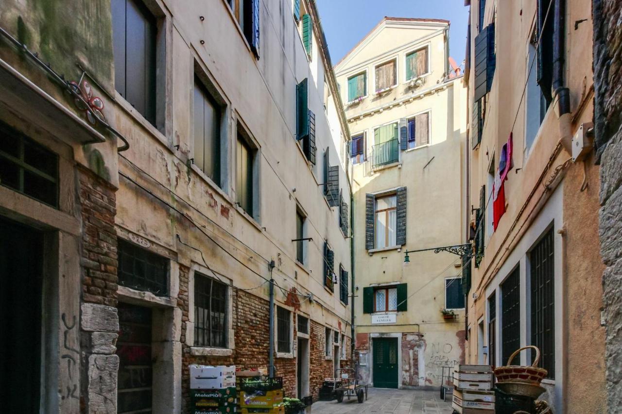 Ramo Venier By Halldis Venezia