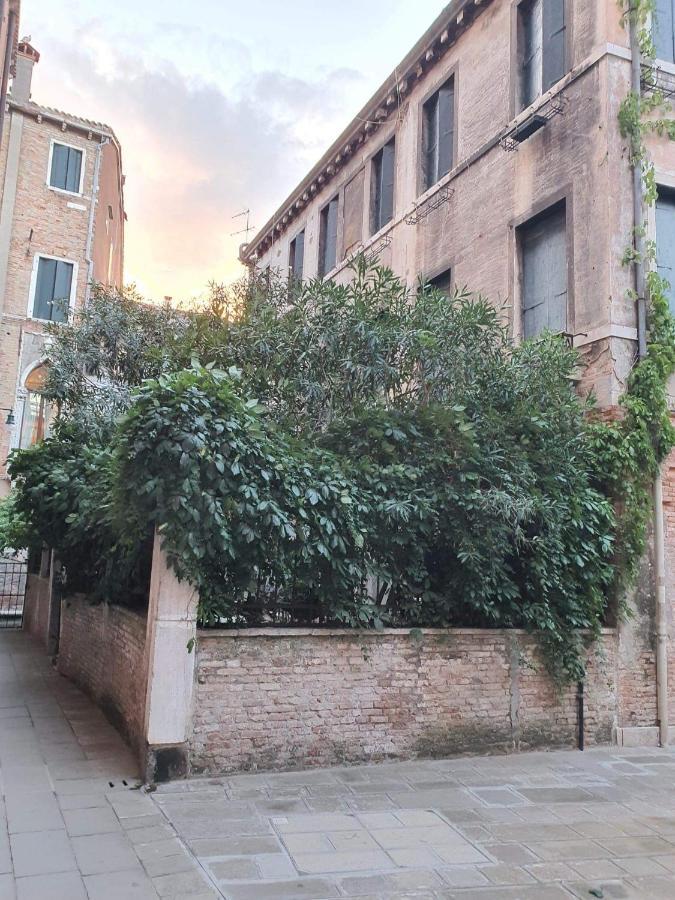Residenza Oleandro Rosa Venice