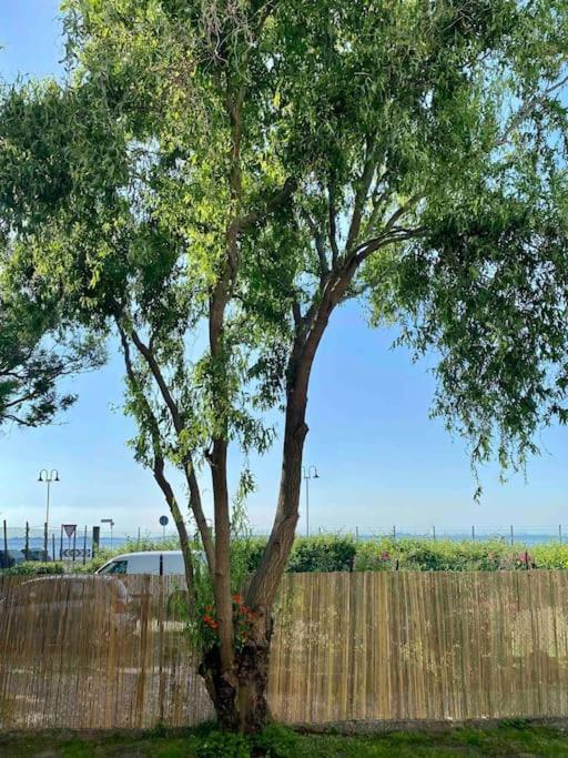 Apartment Casa Del Salice Lagoon View With Garden *