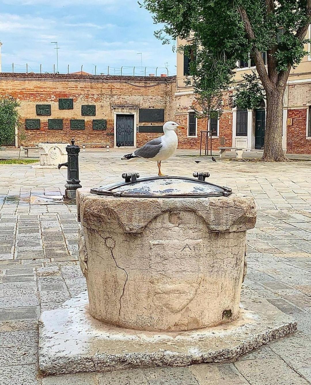 Ca'rosa Venice