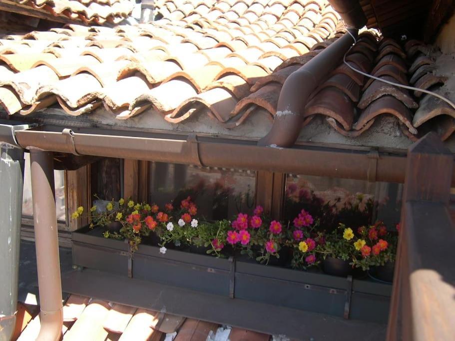 Breathtaking Terrace In Santa Margherita Square