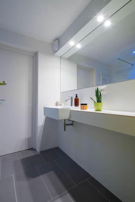 Apartment Rialto Design