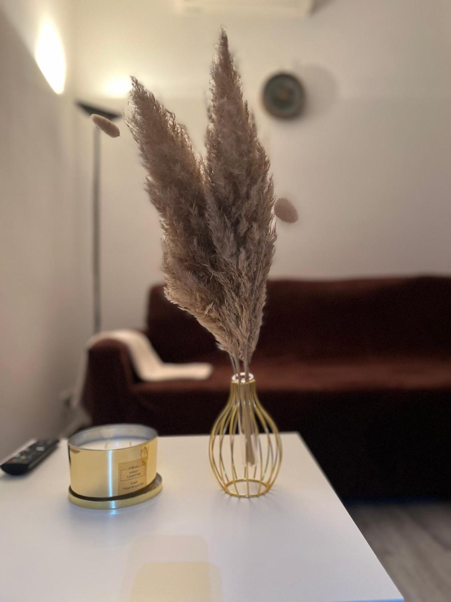 Teps Airport Apartment Venice