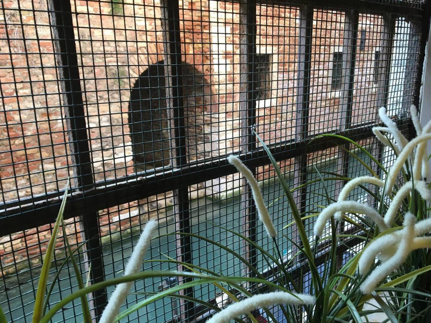 Apartment Mascherone