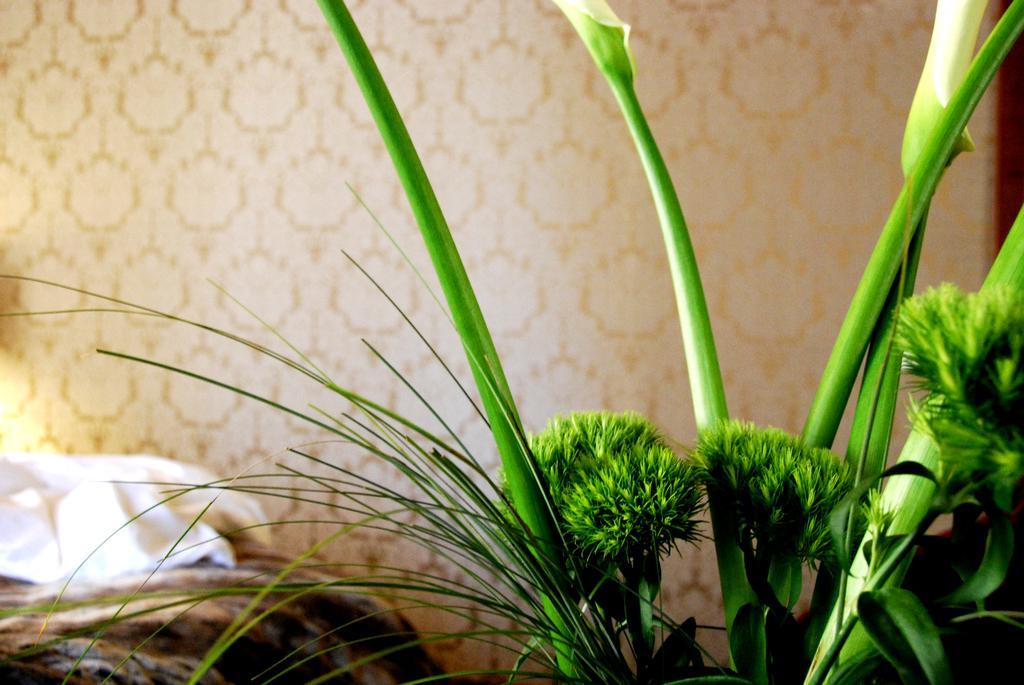 Guest house Avogaria 5 Venice