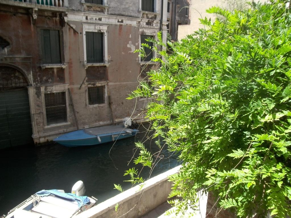 Star Venice