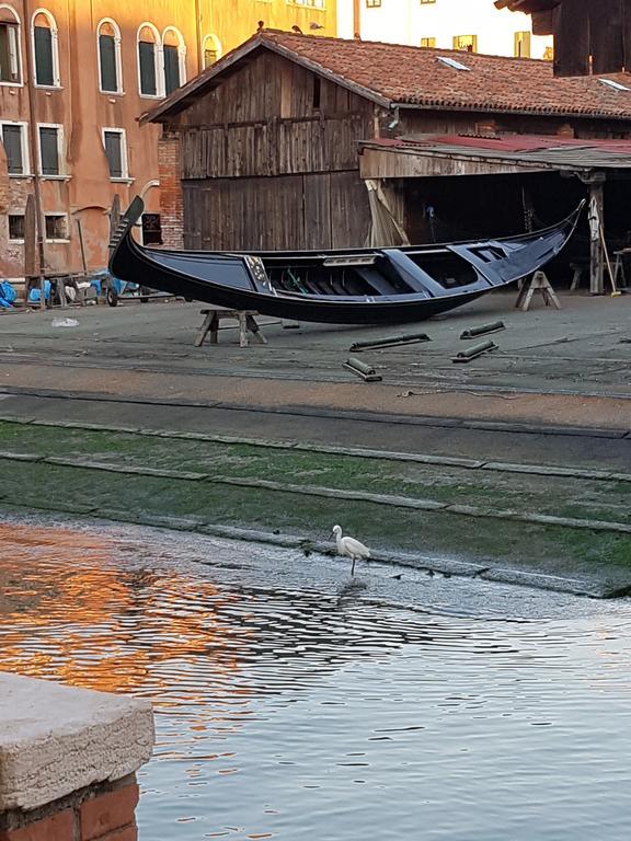 Garden Ca' Rezzonico Venice