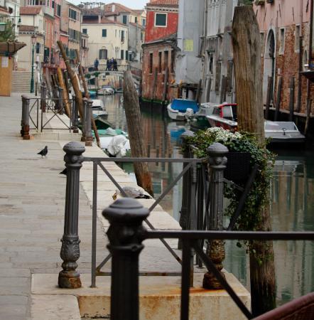 Appartamento Casa Di Primavera Venezia