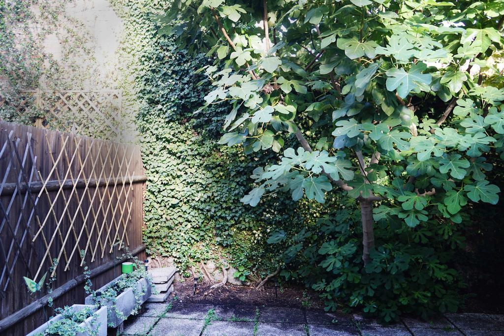 Apartment La Maisonette Et Son Jardin