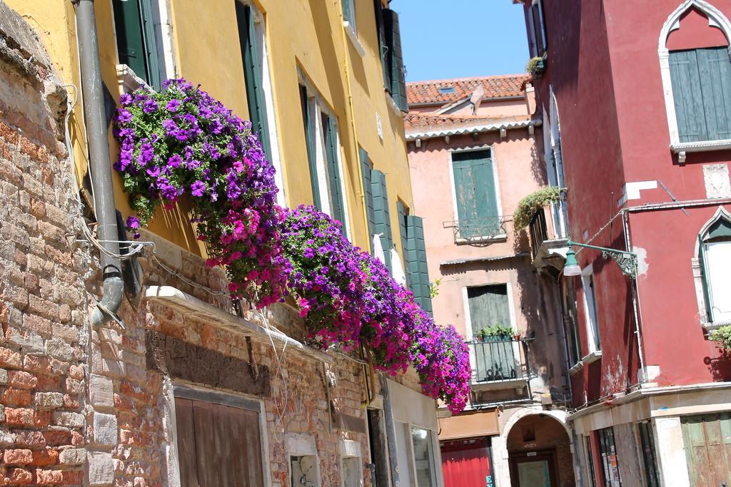Appartamento Calle Dei Preti Apartment *